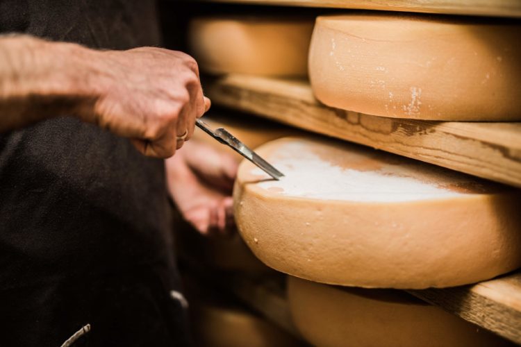 Solving dairy cross contamination