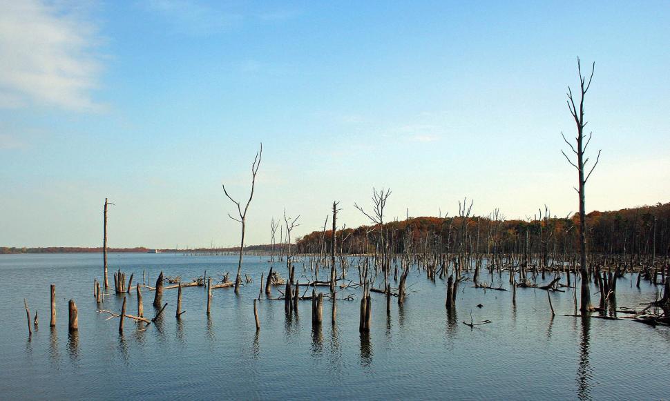 Manasquan Reservoir - Aeration System Design for Water Quality ...